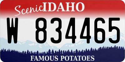 ID license plate W834465