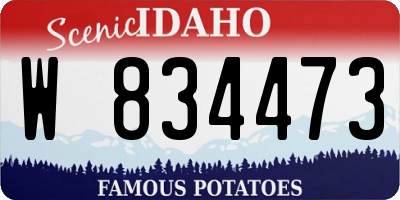 ID license plate W834473
