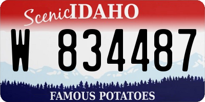ID license plate W834487