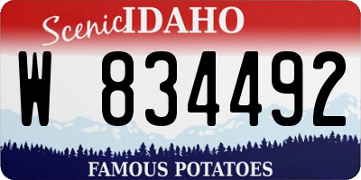 ID license plate W834492