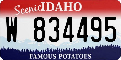 ID license plate W834495