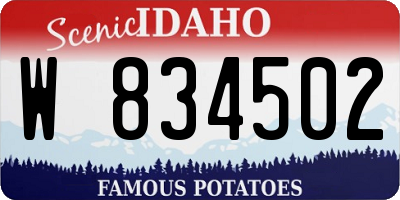 ID license plate W834502