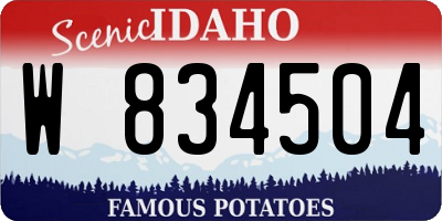 ID license plate W834504