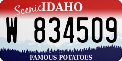 ID license plate W834509