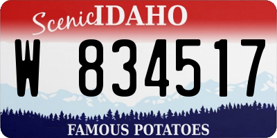 ID license plate W834517