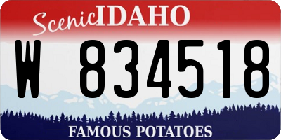 ID license plate W834518
