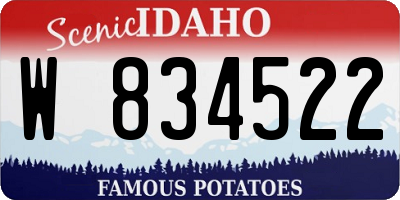 ID license plate W834522