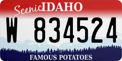 ID license plate W834524