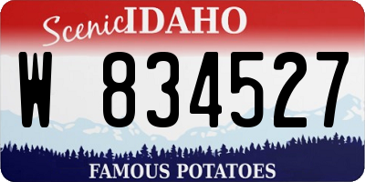 ID license plate W834527