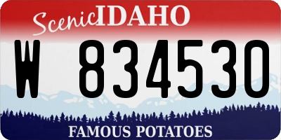 ID license plate W834530