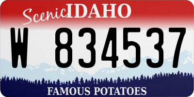 ID license plate W834537