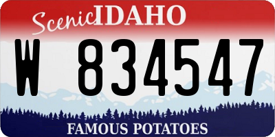 ID license plate W834547