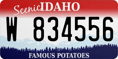 ID license plate W834556