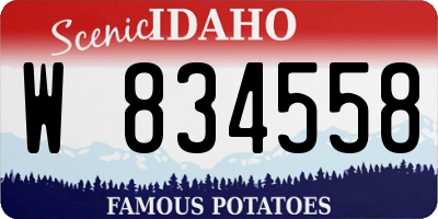 ID license plate W834558