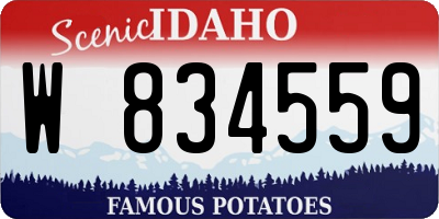 ID license plate W834559