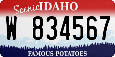ID license plate W834567
