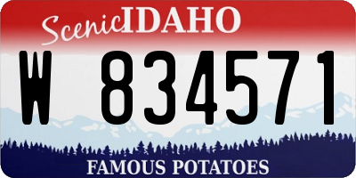ID license plate W834571