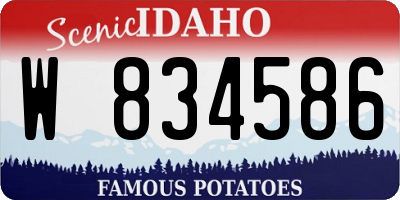 ID license plate W834586
