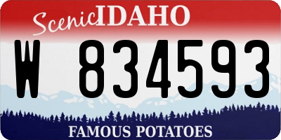 ID license plate W834593