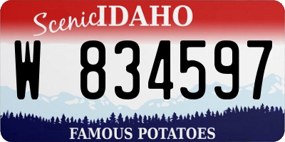 ID license plate W834597