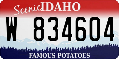 ID license plate W834604