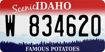 ID license plate W834620