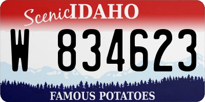 ID license plate W834623