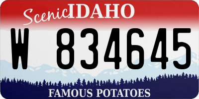 ID license plate W834645