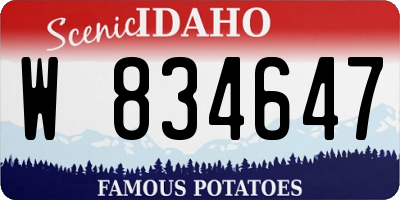 ID license plate W834647