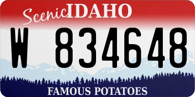 ID license plate W834648