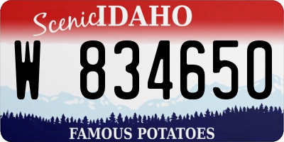 ID license plate W834650
