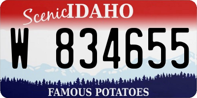 ID license plate W834655