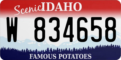 ID license plate W834658