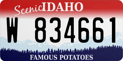 ID license plate W834661