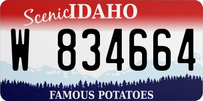 ID license plate W834664