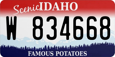 ID license plate W834668
