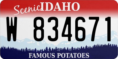 ID license plate W834671