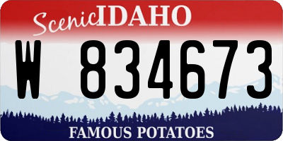 ID license plate W834673