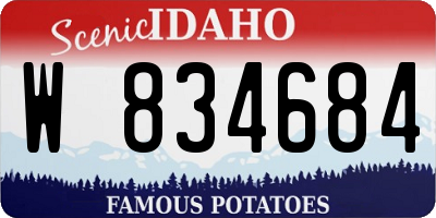 ID license plate W834684