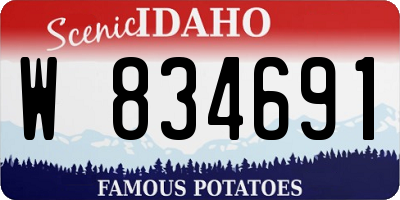 ID license plate W834691