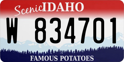 ID license plate W834701