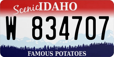 ID license plate W834707