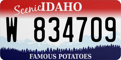 ID license plate W834709