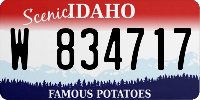 ID license plate W834717