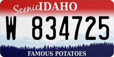 ID license plate W834725