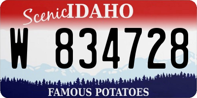 ID license plate W834728