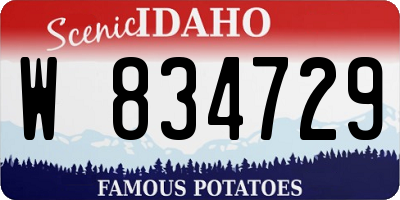 ID license plate W834729