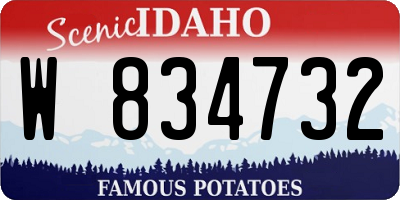 ID license plate W834732