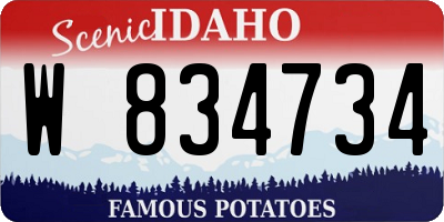 ID license plate W834734