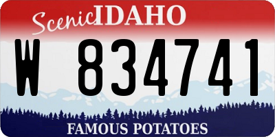 ID license plate W834741